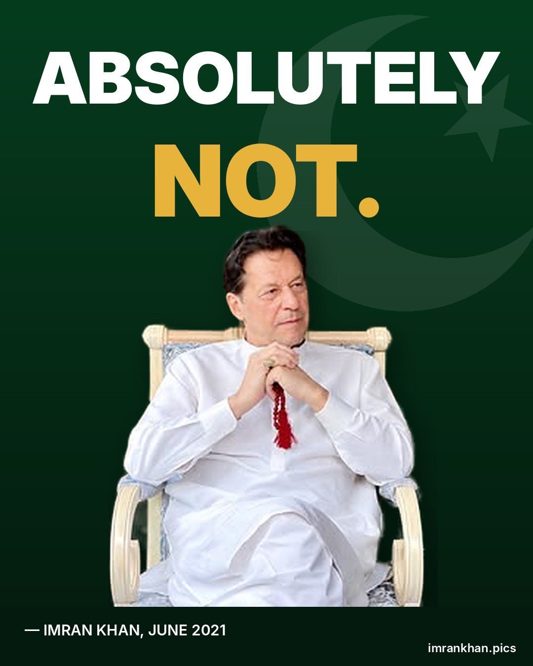 01 absolutely not pakistan green poster
